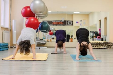 6A7A0982 480x320 - Секции