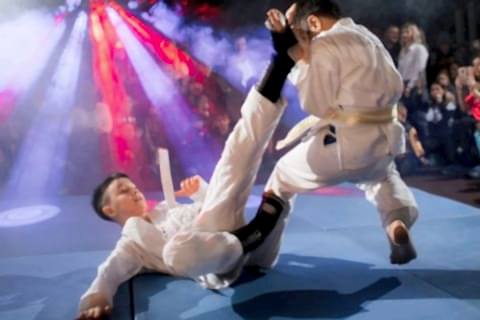 rukopashnyj boj 480x320 - Секции