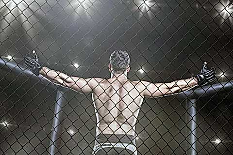 mma section cover 480x320 - Секции