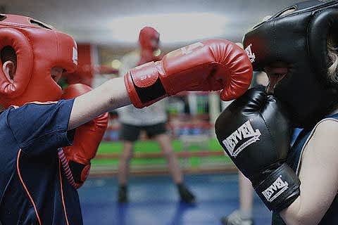 box cover 480x320 - Секции