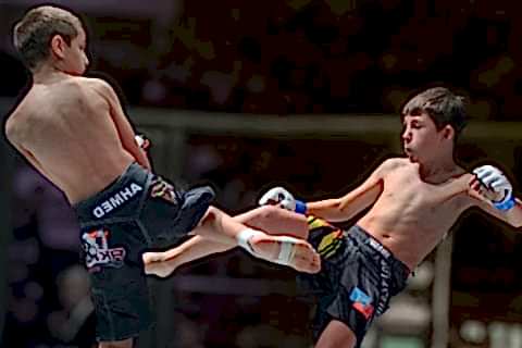 detskoye MMA2 cover 1 480x320 - Секции