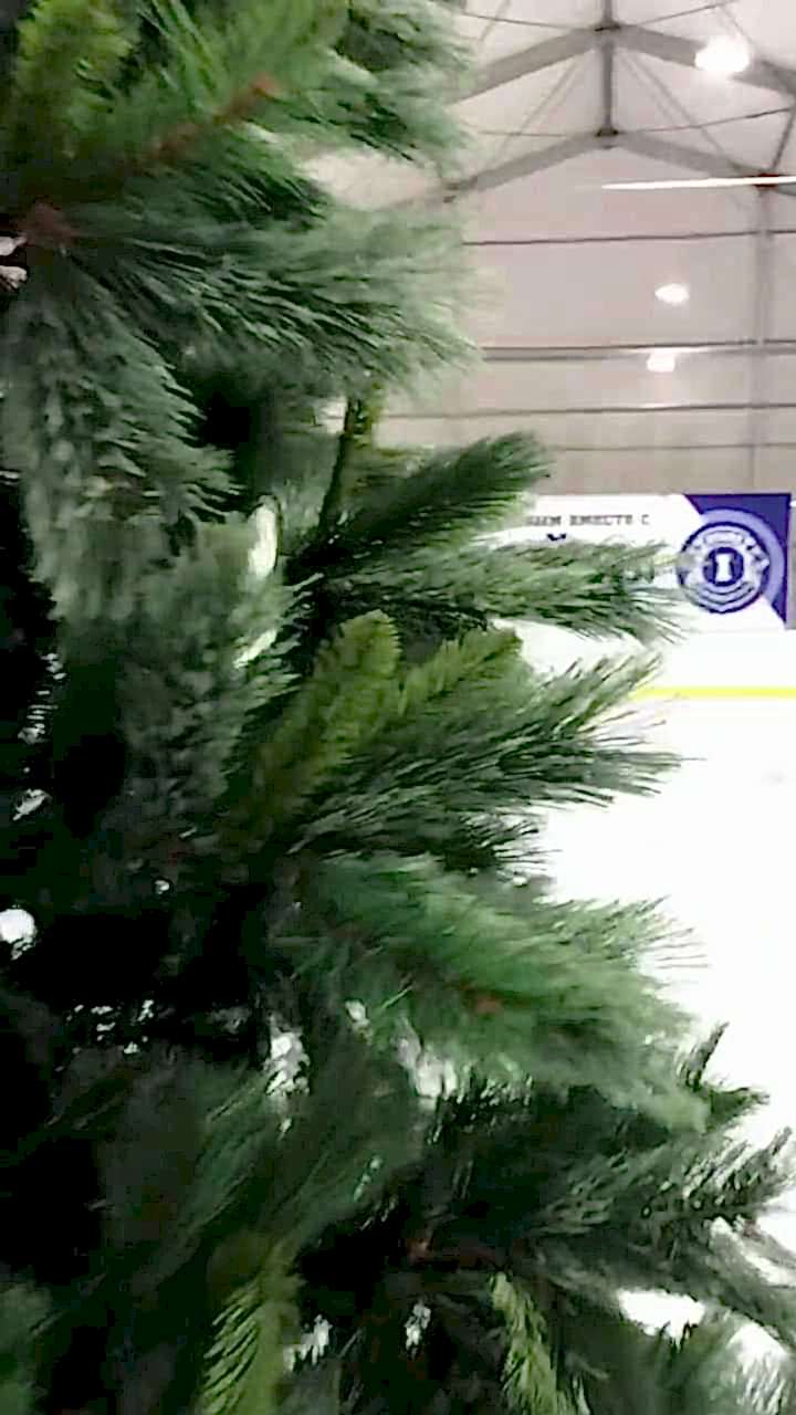 katok video cover 4 - Каток