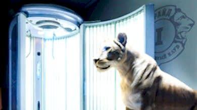 solarium-bg solarium bg 390x219 - Солярий