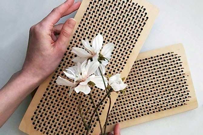 gvozdeterapija cover - Светлана Горшенева