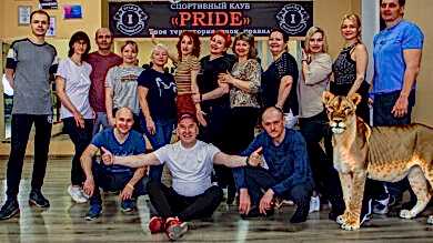 bachata bg 390x219 - Бачата