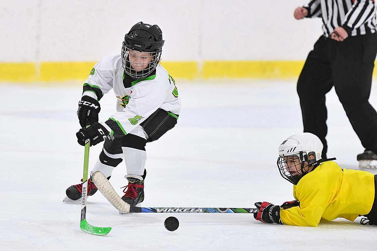 IceArena2November24-02 icearena2november24 02 - Детский турнир «Кубок Прайд»: итоги и фотоотчет