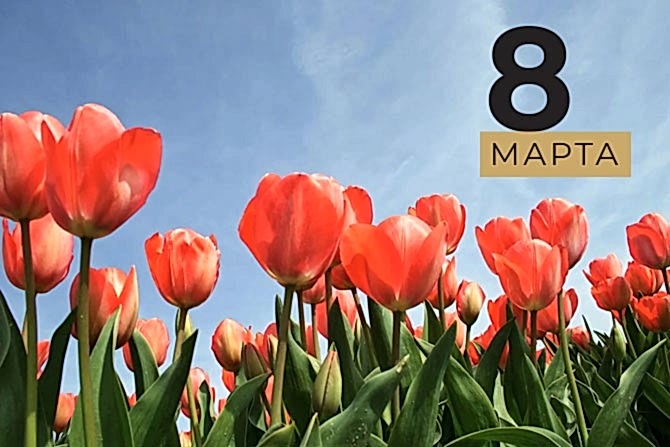 8mart cover - Мастер-класс для детей: готовим бургеры 12 октября